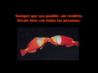Siempre que sea posible, sin rendirte, llévate bien con todas las personas. 