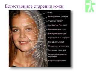 Естественное старение кожи
 
