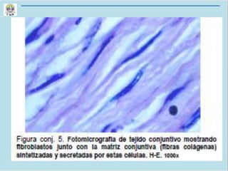 CLASE 6 CORTE 1