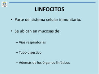 LINFOCITOS
• Parte del sistema celular inmunitario.
• Se ubican en mucosas de:
– Vías respiratorias
– Tubo digestivo
– Además de los órganos linfáticos
 