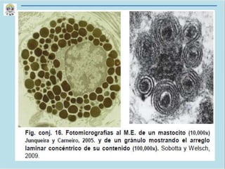 CLASE 6 CORTE 1