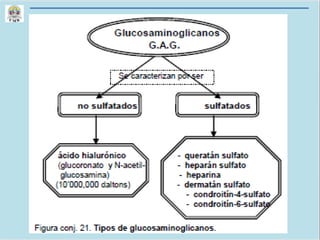 CLASE 6 CORTE 1