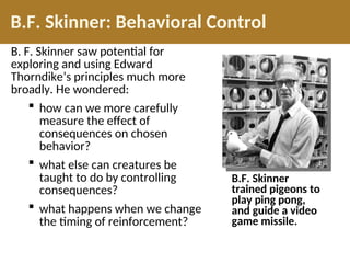 B.F. Skinner: Behavioral Control
B. F. Skinner saw potential for
exploring and using Edward
Thorndike’s principles much more
broadly. He wondered:
 how can we more carefully
measure the effect of
consequences on chosen
behavior?
 what else can creatures be
taught to do by controlling
consequences?
 what happens when we change
the timing of reinforcement?
B.F. Skinner
trained pigeons to
play ping pong,
and guide a video
game missile.
 