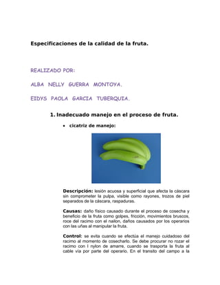 Especificaciones de la calidad de la fruta.
REALIZADO POR:
ALBA NELLY GUERRA MONTOYA.
EIDYS PAOLA GARCIA TUBERQUIA.
1. Inadecuado manejo en el proceso de fruta.
• cicatriz de manejo:
Descripción: lesión acuosa y superficial que afecta la cáscara
sin comprometer la pulpa, visible como rayones, trozos de piel
separados de la cáscara, raspaduras.
Causas: daño físico causado durante el proceso de cosecha y
beneficio de la fruta como golpes, fricción, movimientos bruscos,
roce del racimo con el nailon, daños causados por los operarios
con las uñas al manipular la fruta.
Control: se evita cuando se efectúa el manejo cuidadoso del
racimo al momento de cosecharlo. Se debe procurar no rozar el
racimo con l nylon de amarre, cuando se trasporta la fruta al
cable vía por parte del operario. En el transito del campo a la
 