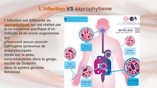 L’infection VS saprophytisme
L’infection est différente du
saprophytisme qui est réalisé par
la co existence pacifique d’un
individu et de micro organismes
qui
n’exercent aucun pouvoir
pathogène (présence de
staphylocoques
dorés sur la peau,
corynebactéries dans la gorge,
bacille de Doderlin
dans la sphère génitale
féminine)
 