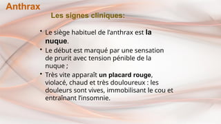 Les signes cliniques:
• Le siège habituel de l’anthrax est la
nuque.
• Le début est marqué par une sensation
de prurit avec tension pénible de la
nuque ;
• Très vite apparaît un placard rouge,
violacé, chaud et très douloureux : les
douleurs sont vives, immobilisant le cou et
entraînant l’insomnie.
Anthrax
 