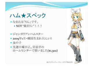 ハム★スペック
  なまえは「りん」です。 
  NOT “鏡音リン”！！！ 
  ジャンガリアンハムスター 
  2009年1月・韓国生まれ（らしい） 
  女の子 
  先週日曜日に、宮前平の 
ホームセンターで買いました(¥1,300) 
(C) クリプトン・フューチャー・メディア株式会社 
 