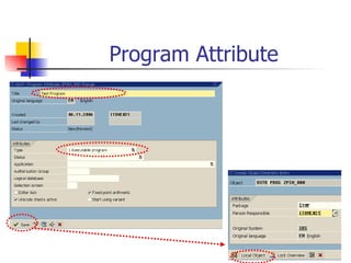 Program Attribute 