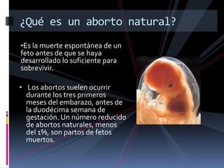 •Es la muerte espontánea de un
feto antes de que se haya
desarrollado lo suficiente para
sobrevivir.
• Los abortos suelen ocurrir
durante los tres primeros
meses del embarazo, antes de
la duodécima semana de
gestación. Un número reducido
de abortos naturales, menos
del 1%, son partos de fetos
muertos.
¿Qué es un aborto natural?
 