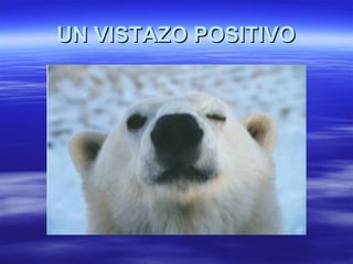 UN VISTAZO POSITIVO 