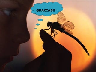 GRACIAS!!
 