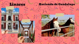 Linares Hacienda de Guadalupe
 