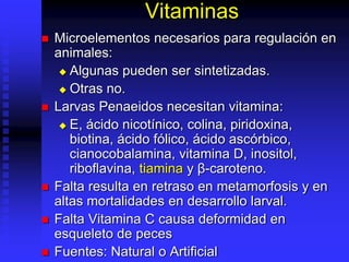 Vitaminas
 Microelementos necesarios para regulación en
animales:
 Algunas pueden ser sintetizadas.
 Otras no.
 Larvas Penaeidos necesitan vitamina:
 E, ácido nicotínico, colina, piridoxina,
biotina, ácido fólico, ácido ascórbico,
cianocobalamina, vitamina D, inositol,
riboflavina, tiamina y β-caroteno.
 Falta resulta en retraso en metamorfosis y en
altas mortalidades en desarrollo larval.
 Falta Vitamina C causa deformidad en
esqueleto de peces
 Fuentes: Natural o Artificial
 
