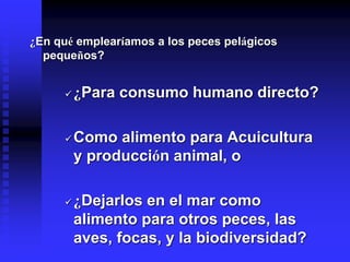 ¿En qué emplearíamos a los peces pelágicos
pequeños?
 ¿Para consumo humano directo?
 Como alimento para Acuicultura
y producción animal, o
 ¿Dejarlos en el mar como
alimento para otros peces, las
aves, focas, y la biodiversidad?
 