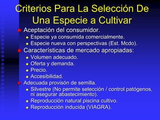 Criterios Para La Selección De
Una Especie a Cultivar
 Aceptación del consumidor.
 Especie ya consumida comercialmente.
 Especie nueva con perspectivas (Est. Mcdo).
 Características de mercado apropiadas:
 Volumen adecuado.
 Oferta y demanda.
 Precio.
 Accesibilidad.
 Adecuada provisón de semilla.
 Silvestre (No permite selección / control patógenos,
ni asegurar abastecimiento).
 Reproducción natural piscina cultivo.
 Reproducción inducida (VIAGRA).
 