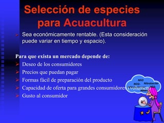 NH3
NH4+
Nitrobacter
NO2-
Nitrosomonas NO3-
Selección de especies
para Acuacultura
 Sea económicamente rentable. (Esta consideración
puede variar en tiempo y espacio).
Para que exista un mercado depende de:
 Deseo de los consumidores
 Precios que puedan pagar
 Formas fácil de preparación del producto
 Capacidad de oferta para grandes consumidores (volumen)
 Gusto al consumidor
 