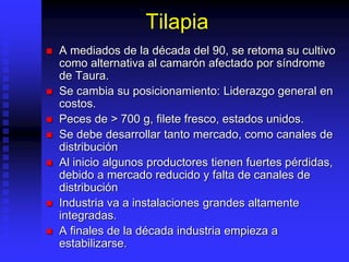 Tilapia
 A mediados de la década del 90, se retoma su cultivo
como alternativa al camarón afectado por síndrome
de Taura.
 Se cambia su posicionamiento: Liderazgo general en
costos.
 Peces de > 700 g, filete fresco, estados unidos.
 Se debe desarrollar tanto mercado, como canales de
distribución
 Al inicio algunos productores tienen fuertes pérdidas,
debido a mercado reducido y falta de canales de
distribución
 Industria va a instalaciones grandes altamente
integradas.
 A finales de la década industria empieza a
estabilizarse.
 