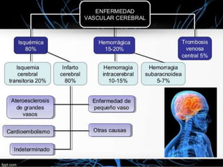 Acv exposicion