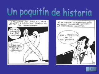 Un poquitín de historia 