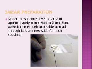  Smear the specimen over an area of
approximately 1cm x 2cm to 2cm x 3cm.
Make it thin enough to be able to read
through it. Use a new slide for each
specimen
 