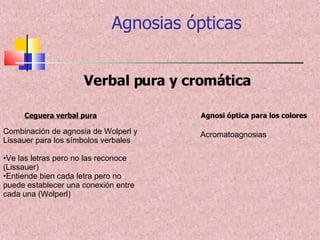 Agnosias ópticas Verbal pura y cromática Ceguera verbal pura   Agnosi óptica para los colores Combinación de agnosia de Wolperl y Lissauer para los símbolos verbales Ve las letras pero no las reconoce (Lissauer) Entiende bien cada letra pero no puede establecer una conexión entre cada una (Wolperl) Acromatoagnosias  