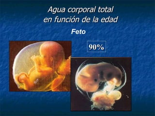 Agua corporal total en función de la edad 90% Feto 