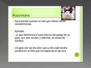 JOHN PUENTE 