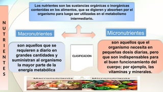 N
U
T
R
I
E
N
T
E
S
Los nutrientes son las sustancias orgánicas o inorgánicas
contenidas en los alimentos, que se digieren y absorben por el
organismo para luego ser utilizadas en el metabolismo
intermediario.
Macronutrientes Micronutrientes
son aquellos que se
requieren a diario en
grandes cantidades y
suministran al organismo
la mayor parte de la
energía metabólica
son aquellos que el
organismo necesita en
pequeñas dosis diarias, pero
que son indispensables para
el buen funcionamiento del
cuerpo; por ejemplo, las
vitaminas y minerales.
CLASIFICACION
 