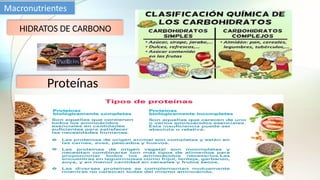 HIDRATOS DE CARBONO
Proteínas
 