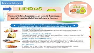 Comúnmente llamados grasas son un conjunto de compuesto
que incluye aceites, triglicéridos, colesterol y vitaminas.
 