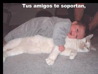 Tus amigos te soportan , 