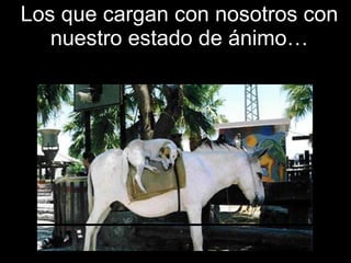 Los que cargan con nosotros con nuestro estado de ánimo… 