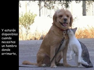 Y estarán disponibles s cuando  necesites un hombro donde  a rrimarte , 