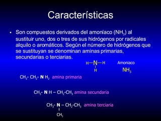 Características Son compuestos derivados del amoníaco (NH 3 ) al sustituir uno, dos o tres de sus hidrógenos por radicales alquilo o aromáticos. Según el número de hidrógenos que se sustituyan se denominan aminas primarias, secundarias o terciarias.  CH 3 - CH 2 -  N  H 2   amina primaria CH 3 -  N  H – CH 2 -CH 3   amina secundaria N H H H Amoniaco NH 3 CH 3 -  N  – CH 2 -CH 3   amina terciaria CH 3 