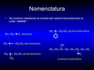 Nomenclatura Se nombran añadiendo al nombre del radical hidrocarbonado el sufijo &quot;- amina &quot;.  CH 3 - CH 2 -  N  H 2   etil-amina CH 3 -  N  H – CH 2 -CH 3   etil-metil-amina 3-amino-6-metil-octano CH 3 -  N  – CH 2 -CH 3   etil-dimetil-amina CH 3 CH 3 -  N  – CH 2 -CH 3   etil-fenil-metil-amina CH 3 - CH 2 - CH - CH 2 - CH 2 - CH - CH 2 - CH 3 N H 2 CH 3 
