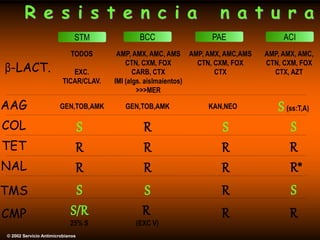 R e s i s t e n c i a n a t u r a
STM
β-LACT.
© 2002 Servicio Antimicrobianos
BCC PAE ACI
TODOS
EXC.
TICAR/CLAV.
AMP, AMX, AMC, AMS
CTN, CXM, FOX
CARB, CTX
IMI (algs. aislmaientos)
>>>MER
AMP, AMX, AMC,AMS
CTN, CXM, FOX
CTX
AMP, AMX, AMC,
CTN, CXM, FOX
CTX, AZT
AAG GEN,TOB,AMK KAN,NEO
GEN,TOB,AMK S (ss:T,A)
COL S
S
S R
TET R
R
R R
S
R
S S
TMS
R
R
S/R
25% S
R
(EXC V)
CMP
NAL R*
R
R R
 