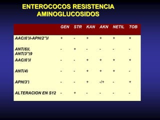 ENTEROCOCOS RESISTENCIA
AMINOGLUCOSIDOS
GEN STR KAN AKN NETIL TOB
AAC(6’)I-APH(2”)I + - + + + +
ANT(6)I,
ANT(3”)9
- + - - - -
AAC(6’)I - - + + + +
ANT(4) - - + + + -
APH(3’) - - + -/+ - +
ALTERACION EN S12 - + - - - -
 