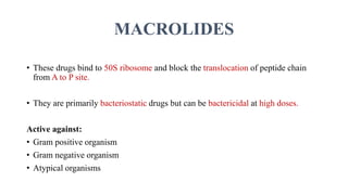 MACROLIDES
• These drugs bind to 50S ribosome and block the translocation of peptide chain
from A to P site.
• They are primarily bacteriostatic drugs but can be bactericidal at high doses.
Active against:
• Gram positive organism
• Gram negative organism
• Atypical organisms
 