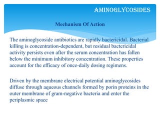 Mechanism Of Action
The aminoglycoside antibiotics are rapidly bactericidal. Bacterial
killing is concentration-dependent, but residual bactericidal
activity persists even after the serum concentration has fallen
below the minimum inhibitory concentration. These properties
account for the efficacy of once-daily dosing regimens.
Driven by the membrane electrical potential aminoglycosides
diffuse through aqueous channels formed by porin proteins in the
outer membrane of gram-negative bacteria and enter the
periplasmic space
Aminoglycosides
 