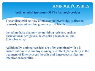 Antibacterial Spectrum Of The Aminoglycosides
The antibacterial activity of most aminoglycosides is directed
primarily against aerobic gram-negative bacilli
including those that may be multidrug resistant, such as
Pseudomonas aeruginosa, Klebsiella pneumoniae, and
Enterobacter sp.
Additionally, aminoglycosides are often combined with a β-
lactam antibiotic to employ a synergistic effect, particularly in the
treatment of Enterococcus faecalis and Enterococcus faecium
infective endocarditis.
Aminoglycosides
 