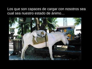 Los que son capaces de cargar con nosotros sea cual sea nuestro estado de ánimo… 