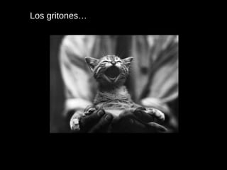 Los gritones… 