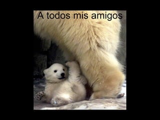 A todos mis amigos 