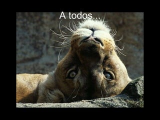 A todos... 