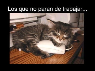 Los que no paran de trabajar... 