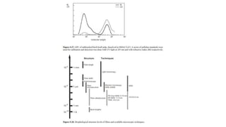 Analytical Method of Wood Component presentation