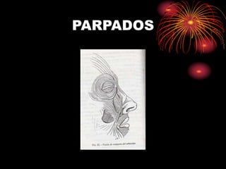 PARPADOS
 