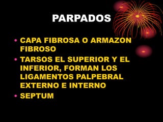PARPADOS
• CAPA FIBROSA O ARMAZON
FIBROSO
• TARSOS EL SUPERIOR Y EL
INFERIOR, FORMAN LOS
LIGAMENTOS PALPEBRAL
EXTERNO E INTERNO
• SEPTUM
 
