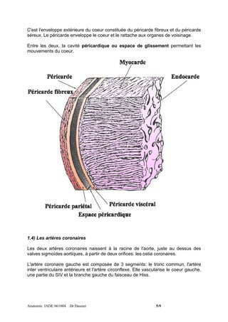C'est l'enveloppe extérieure du coeur constituée du péricarde fibreux et du péricarde
séreux. Le péricarde enveloppe le coeur et le rattache aux organes de voisinage.

Entre les deux, la cavité péricardique ou espace de glissement permettant les
mouvements du coeur.




1.4) Les artères coronaires

Les deux artères coronaires naissent à la racine de l'aorte, juste au dessus des
valves sigmoïdes aortiques, à partir de deux orifices: les ostia coronaires.

L'artère coronaire gauche est composée de 3 segments: le tronc commun, l'artère
inter ventriculaire antérieure et l'artère circonflexe. Elle vascularise le coeur gauche,
une partie du SIV et la branche gauche du faisceau de Hiss.




Anatomie IADE 061004 Dr Dassier                                   5/9
 