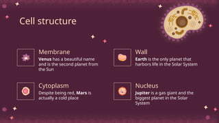 Cell structure
Venus has a beautiful name
and is the second planet from
the Sun
Earth is the only planet that
harbors life in the Solar System
Despite being red, Mars is
actually a cold place
Jupiter is a gas giant and the
biggest planet in the Solar
System
Membrane
Cytoplasm
Wall
Nucleus
 